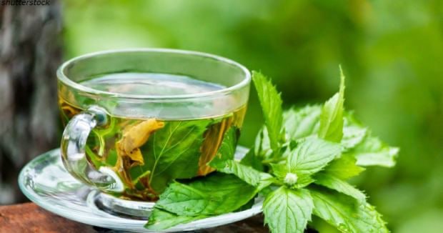 Menta – prirodni „sagorjevač“ masnoće